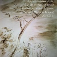 23 Juin 2018, évangile du jour illustré par un dessin au lavis