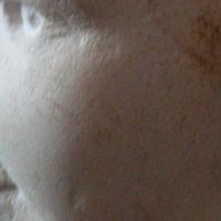 Sculpture sur pierre, Buste