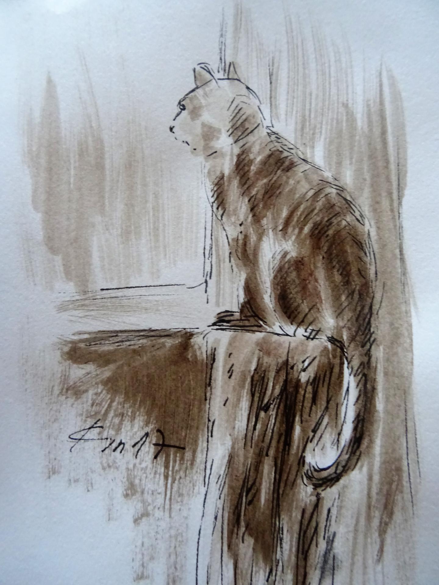 Le chat dessin au lavis de jean joseph chevalier 118