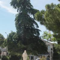 Sculpture sur pierre, statue de Ste Thérèse en ronde bosse, 7